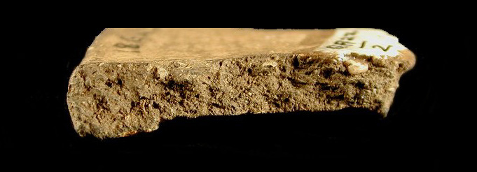  Paste shot of a shell-tempered Monongahela body sherd cross-section from the Sang Run site 18GA22-2.